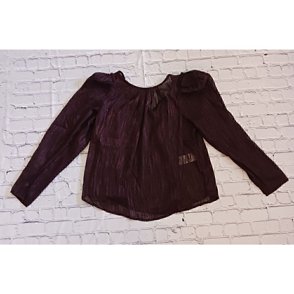 DKNY Sheer 3/4 Sheer Puffed Sleeve Shimmer Detail Round Neck Blouse/NWT, Size S